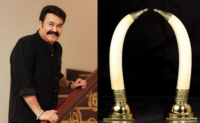 തന്റെ കൈവശം ആകെ അഞ്ച് ജോഡി ആനക്കൊമ്പുകളുണ്ടെന്ന് നടൻ മോഹൻലാൽ; വിശദാംശങ്ങൾ ഹാജരാക്കാൻ നിർദേശം